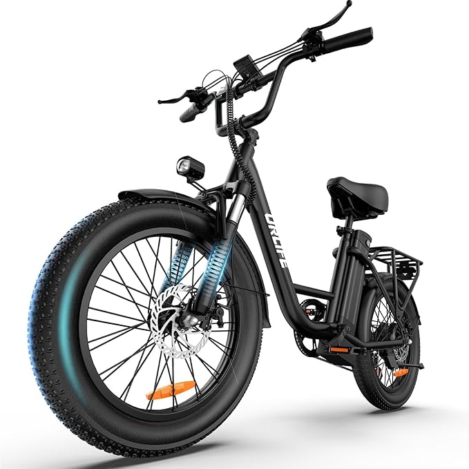 URLIFE Electric Bike - Fat Tire - 250W Motor Ebike