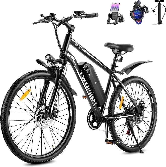 TWOFISH Electric Bike