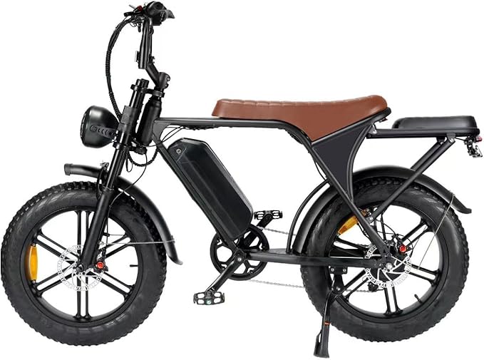 Electric Bike, 20 Inch E Bike, Hybrid Bike, Adult Bicycle, 48V 15AH Battery, Brushless Motor