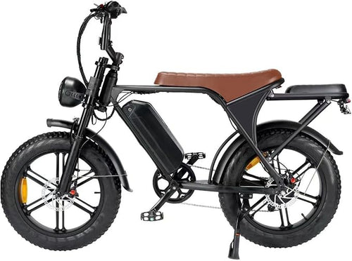 Electric Bike, 20 Inch E Bike, Hybrid Bike, Adult Bicycle, 48V 15AH Battery, Brushless Motor