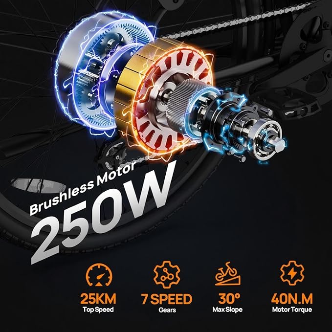 URLIFE Electric Bikes