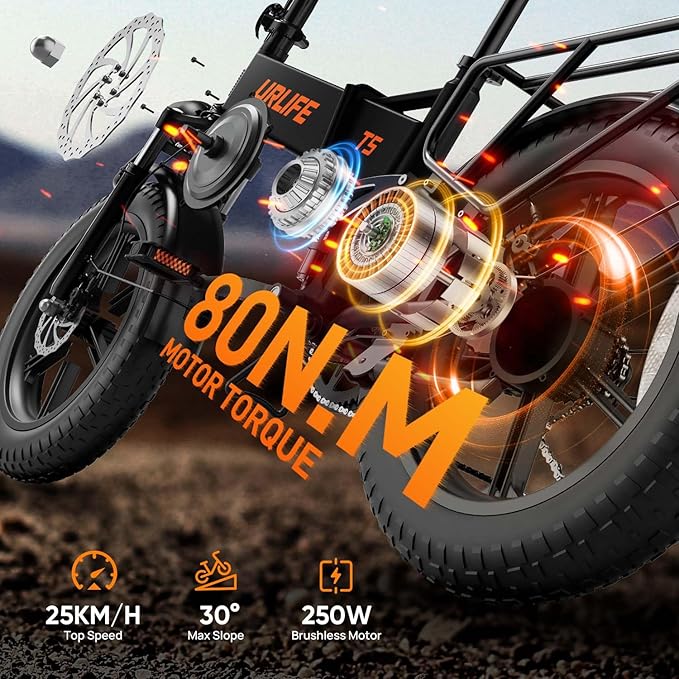 URLIFE Folding Electric Bike