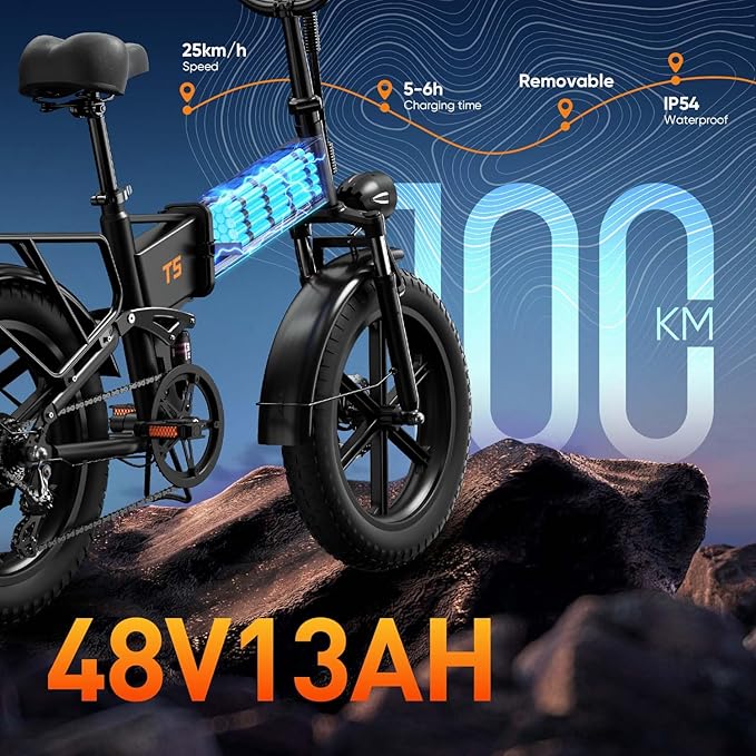 URLIFE Folding Electric Bike