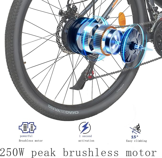 TIGUOWISH Cheevalry Electric Bike