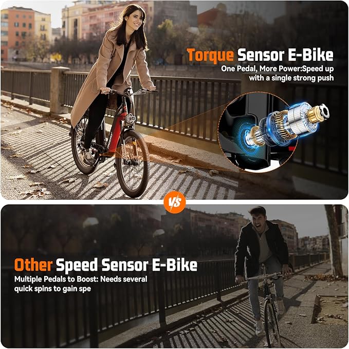 FREESKY Electric Bike