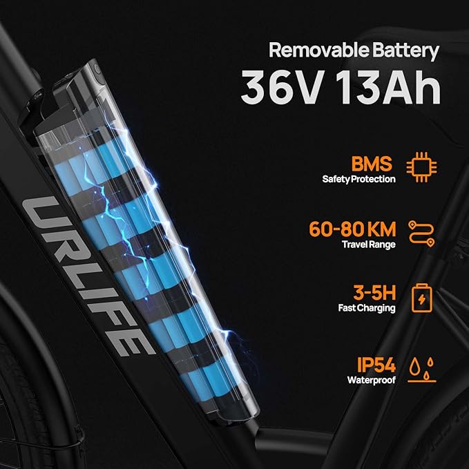 URLIFE Electric Bikes