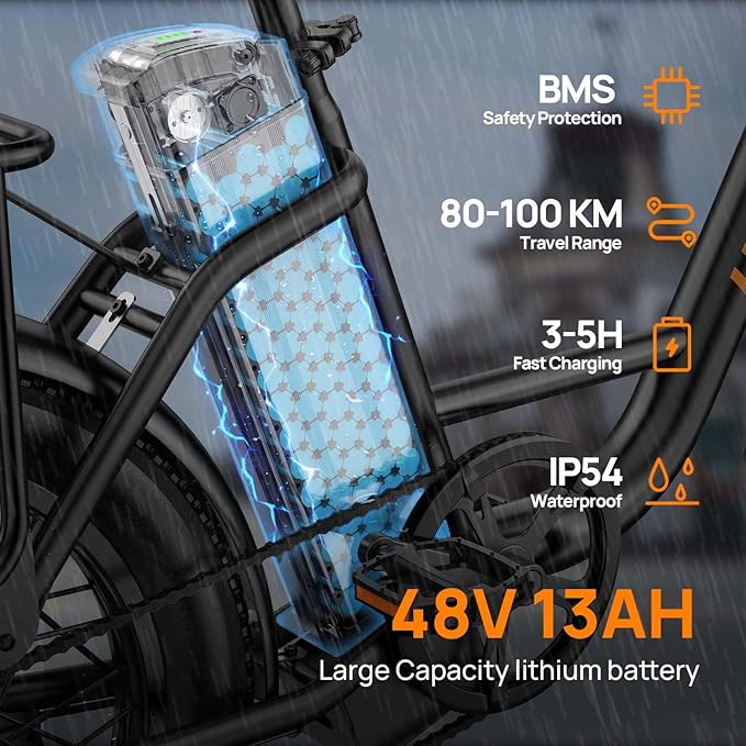 URLIFE Electric Bike - Fat Tire - 250W Motor Ebike