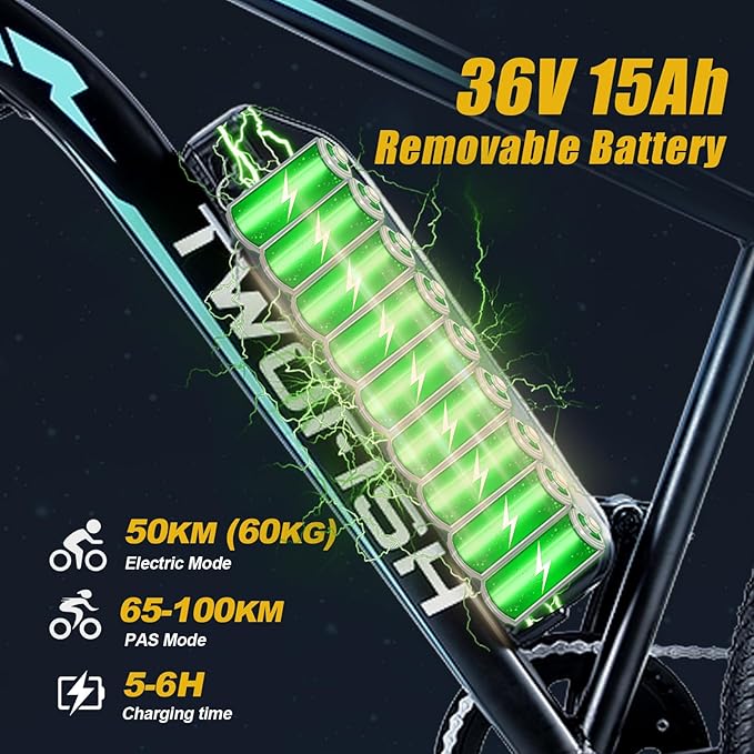 TWOFISH Electric Bike