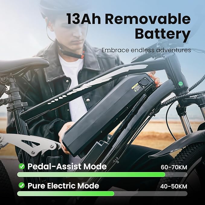 Finbike M50 Electric Bike