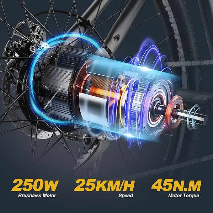 TWOFISH Electric Bike