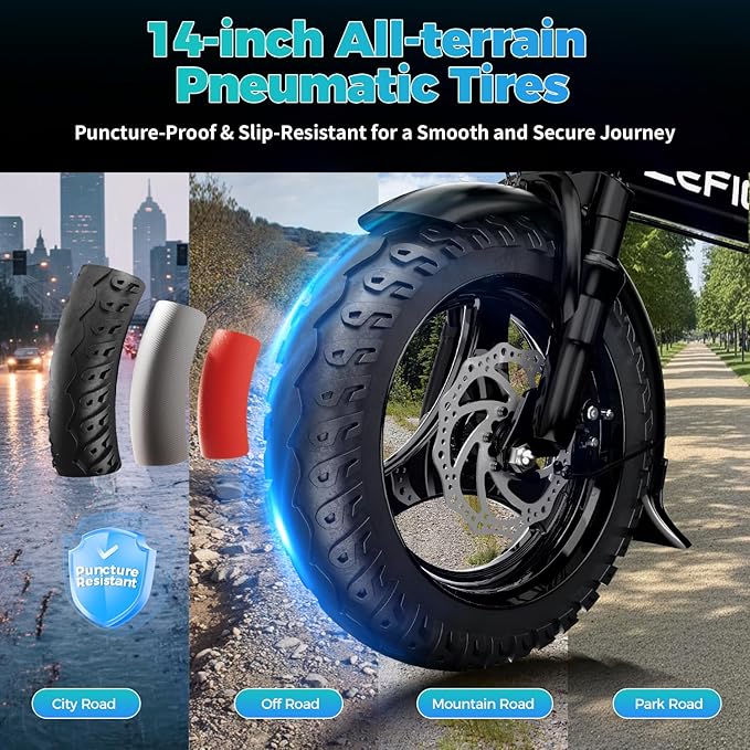 ZEFIORA Electric Bike