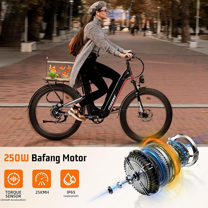 FREESKY Electric Bike