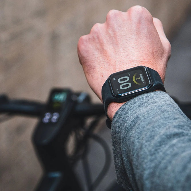 Fiido C21 E-Gravel & City E-Bike