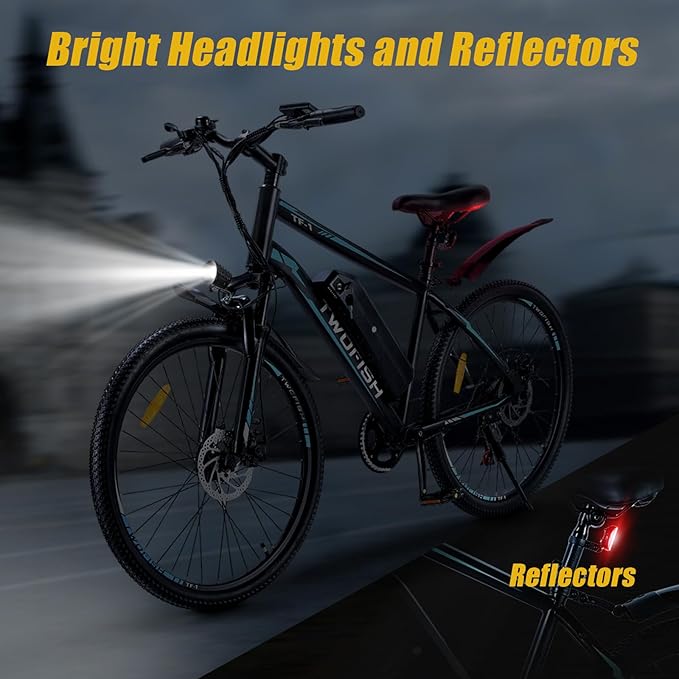 TWOFISH Electric Bike