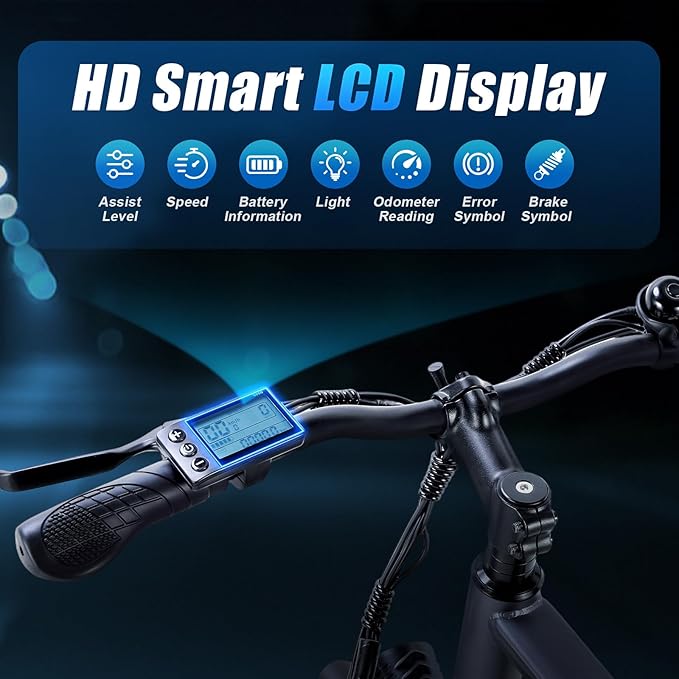 TWOFISH Electric Bike