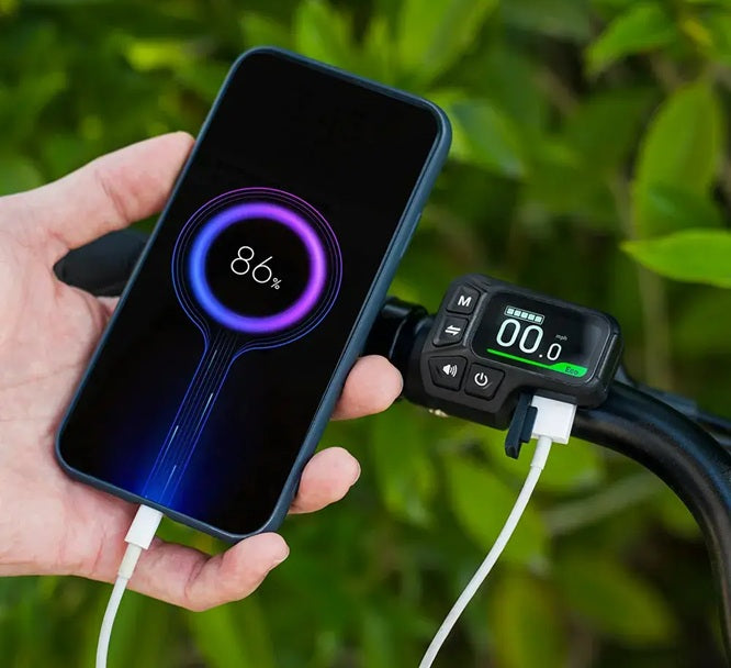 Fiido C11 Pro City E-Bike