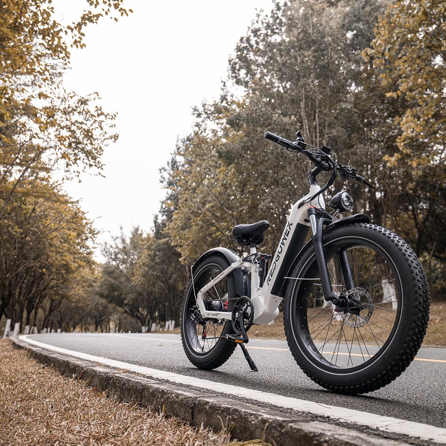 RZOGUWEX Electric Bicycle