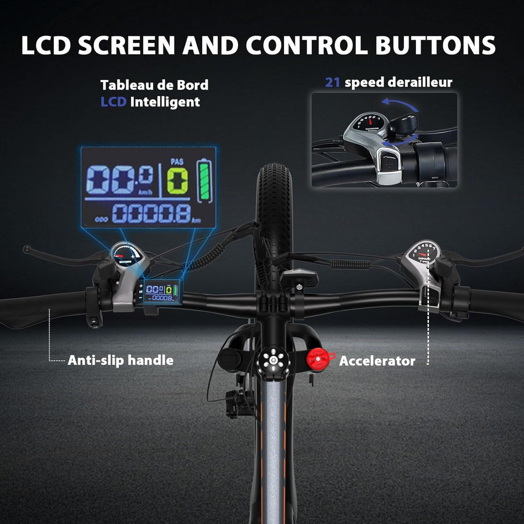 TIGUOWISH Cheevalry Electric Bike