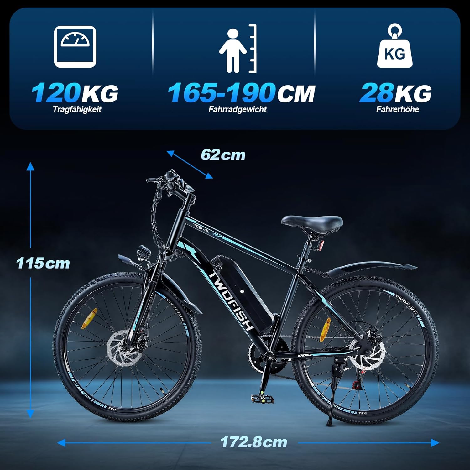 TWOFISH Electric Bike