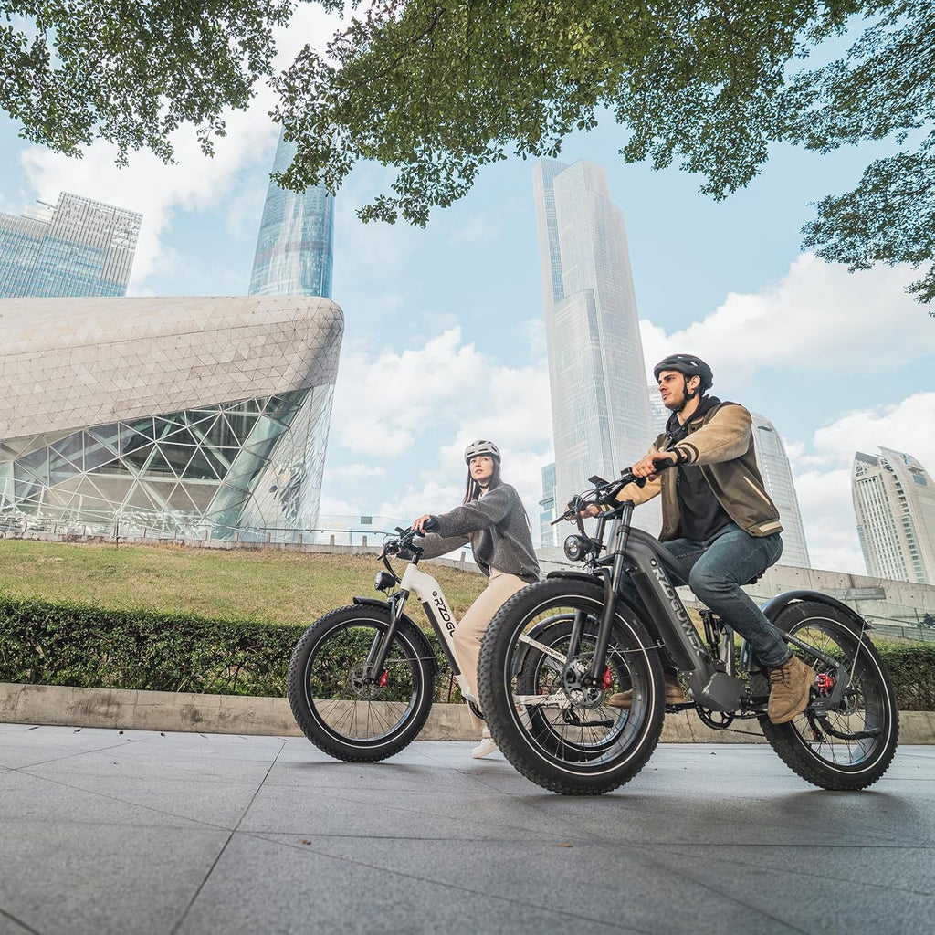 RZOGUWEX Electric Bicycle