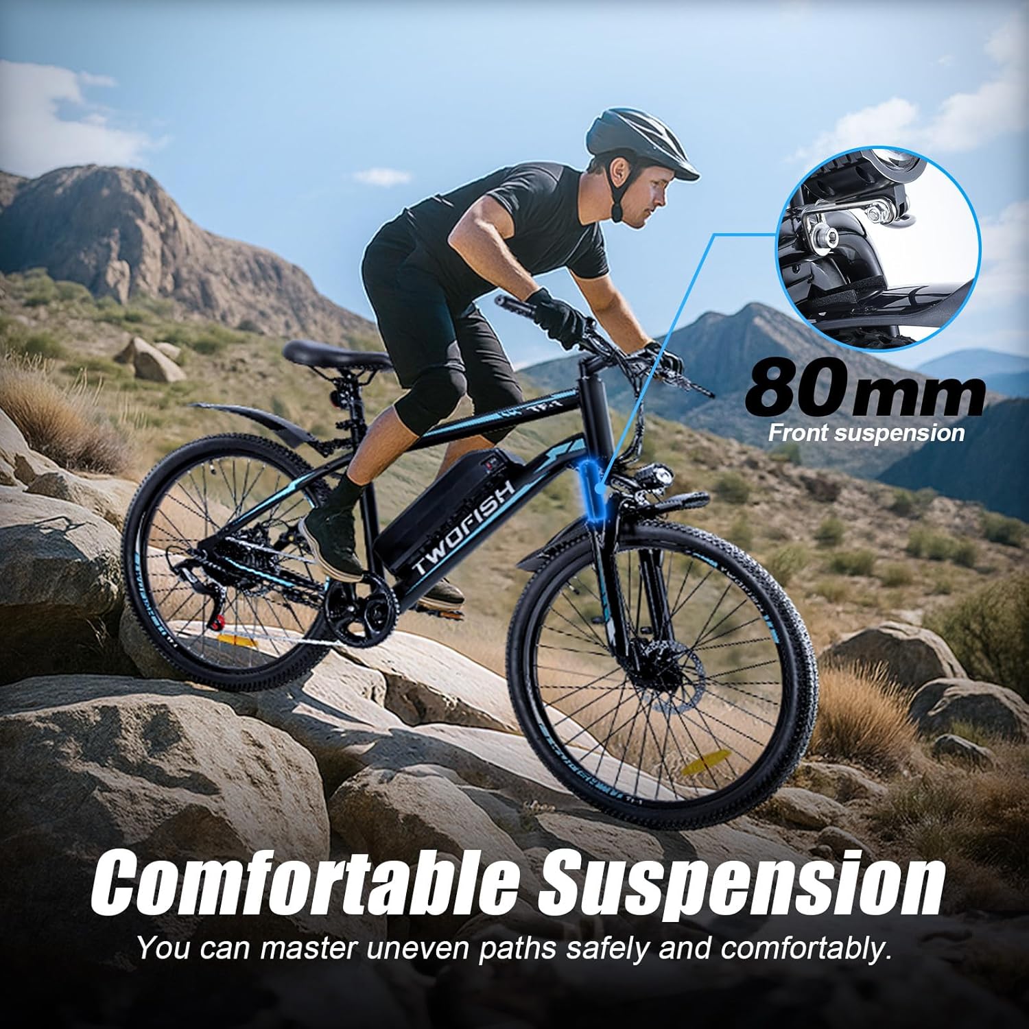 TWOFISH Electric Bike