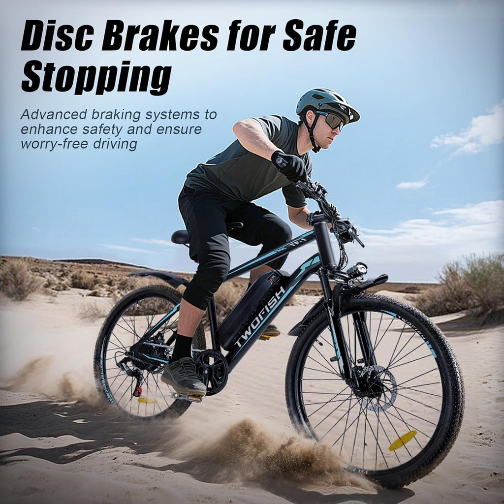 TWOFISH Electric Bike